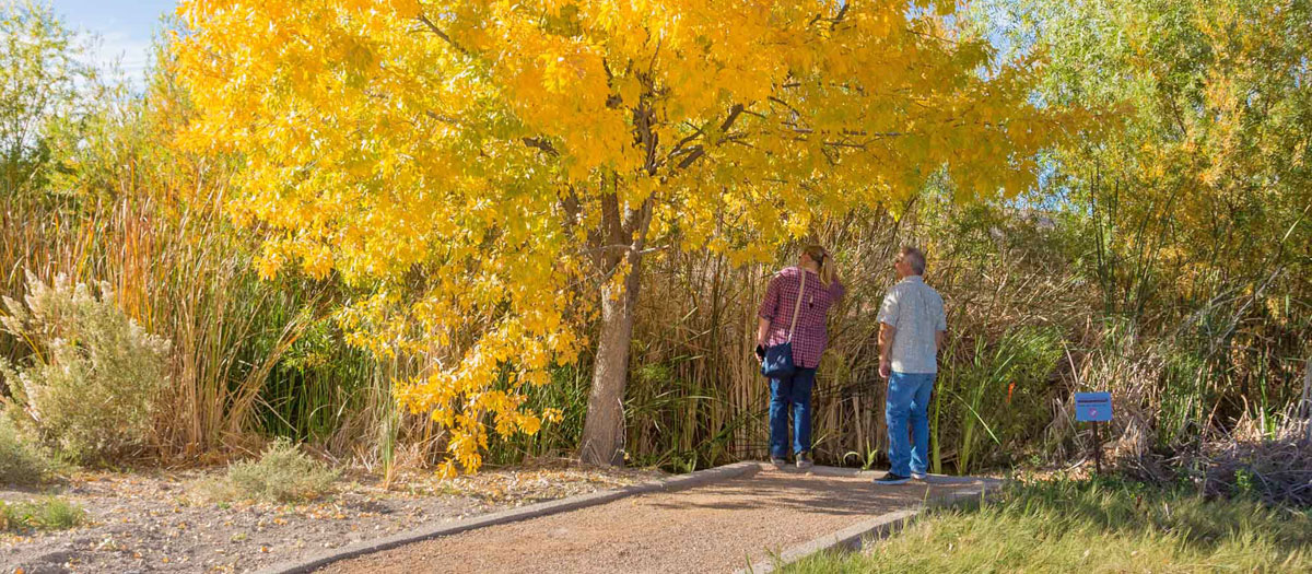 A man and a woman walk along a dirt trail surrounded with trees and shrubs